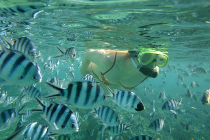 Katie Snorkelling..